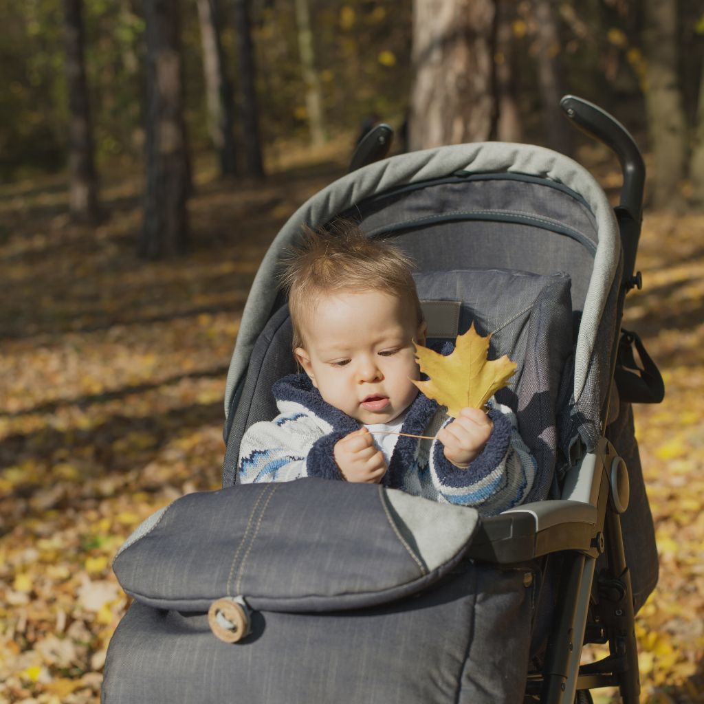 Strollers