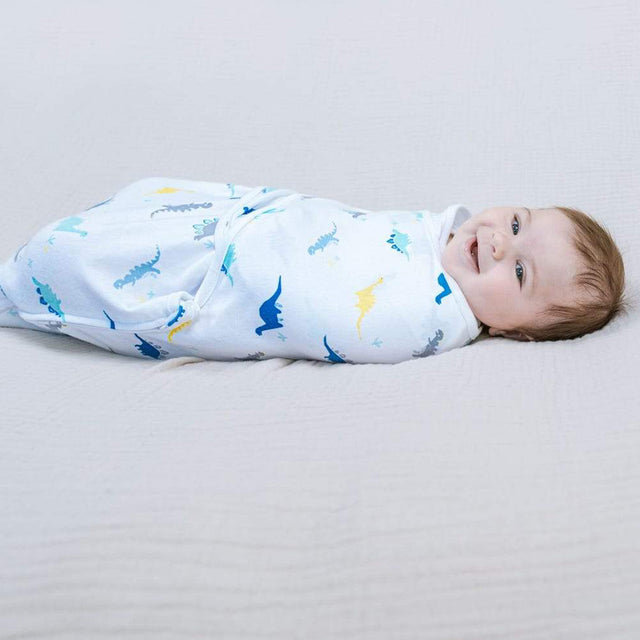 Aden & Anais Dino Rama 3 Pack Easy Swaddle Wraps