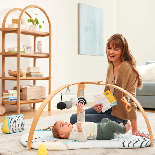 Skip Hop Discoverosity Deluxe Activity Gym