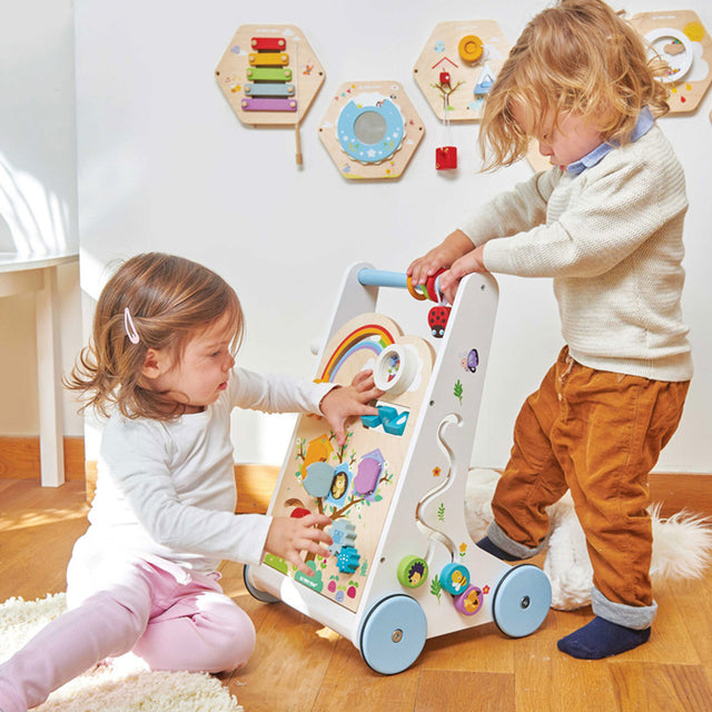 Petilou Activity Walker