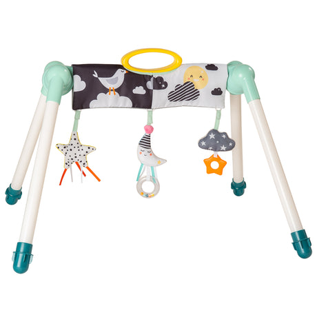 TAF Toys Mini Moon Take to Play Baby Gym