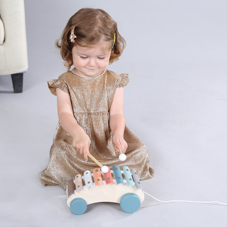 Calm & Breezy Pull Along Xylophone Car