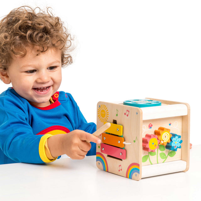 Petilou Petit Activity Cube