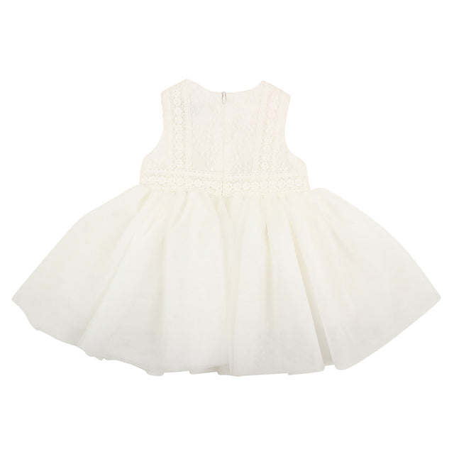 Bebe Embroidered Organza Dress Ivory