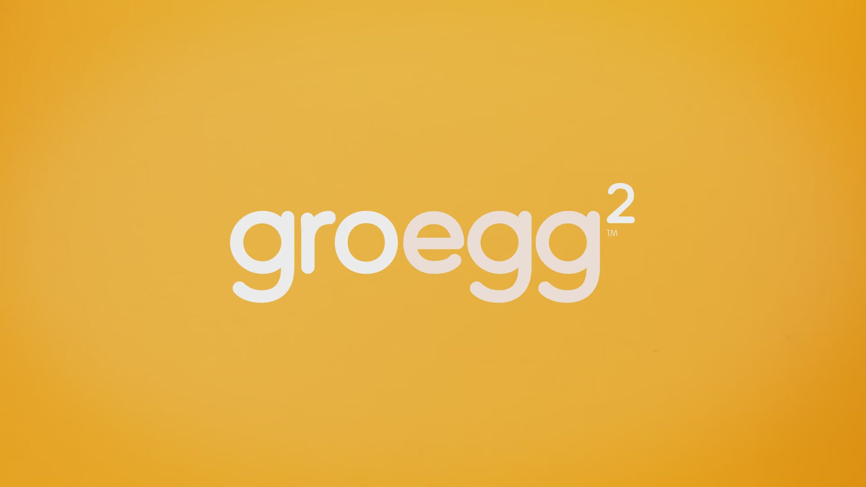 Groegg2 Ambient Room Thermometer